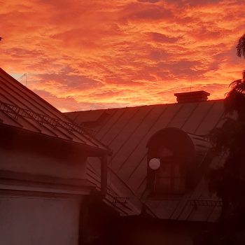 Ogród po 2021 roku – złota jesień