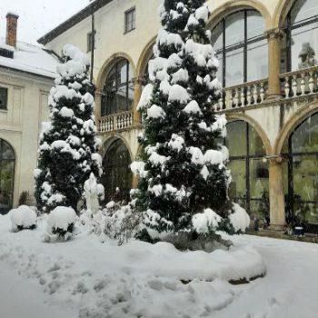 Ogród po 2021 roku – w zimowej szacie