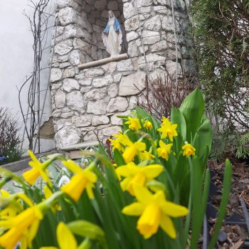 Ogród po 2021 roku – w blasku wiosny i lata